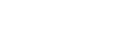 Erin.Lane Bags